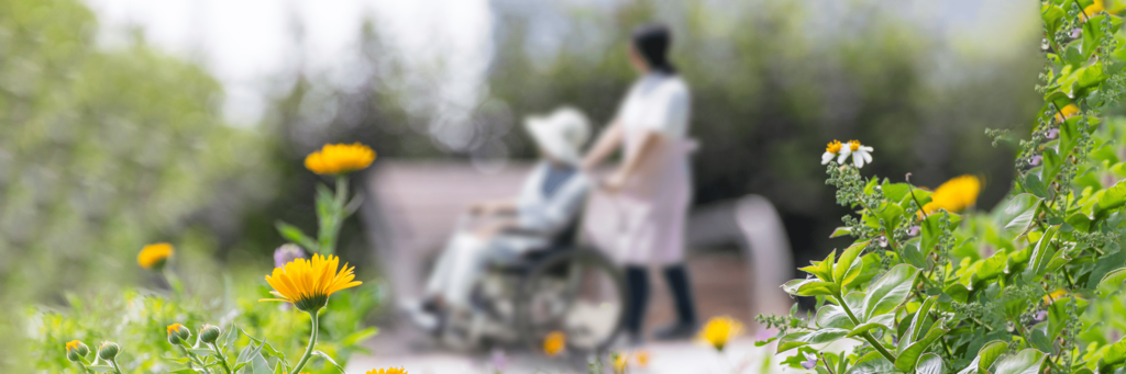 介護に関わるお金・制度の基本