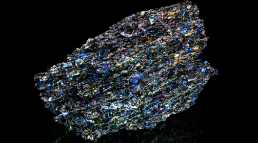 ��؈�V�A���̃g�����h������T��I