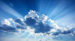 ストラテジーレポート