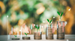 節税しながら、資産形成しよう