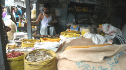 世界に貢献する投資 新興国のポテンシャルを見る