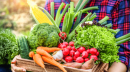 家計再生のプロ横山光昭の強い投資をする家計のツボ