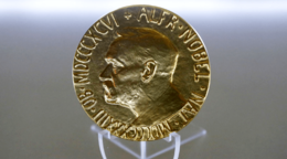 和島英樹の発掘！注目株