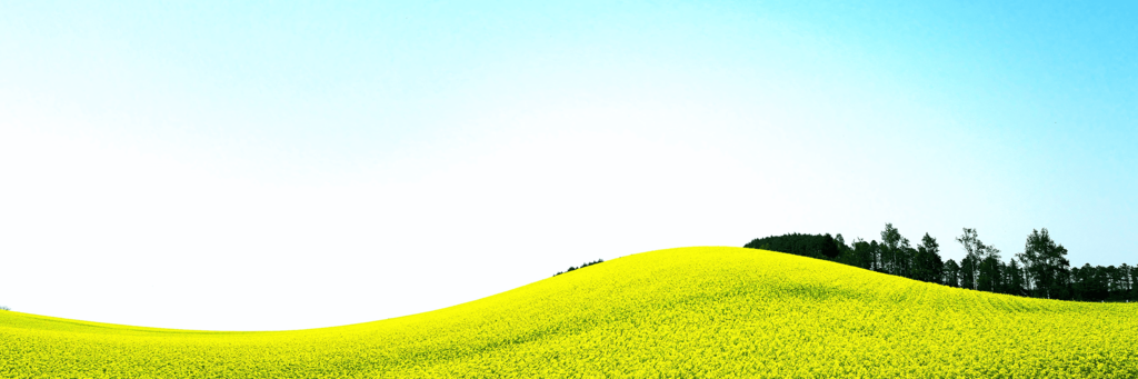 ゴールデンウィーク特集～これからのマネー・投資プランの考え方と今後のマーケット動向～